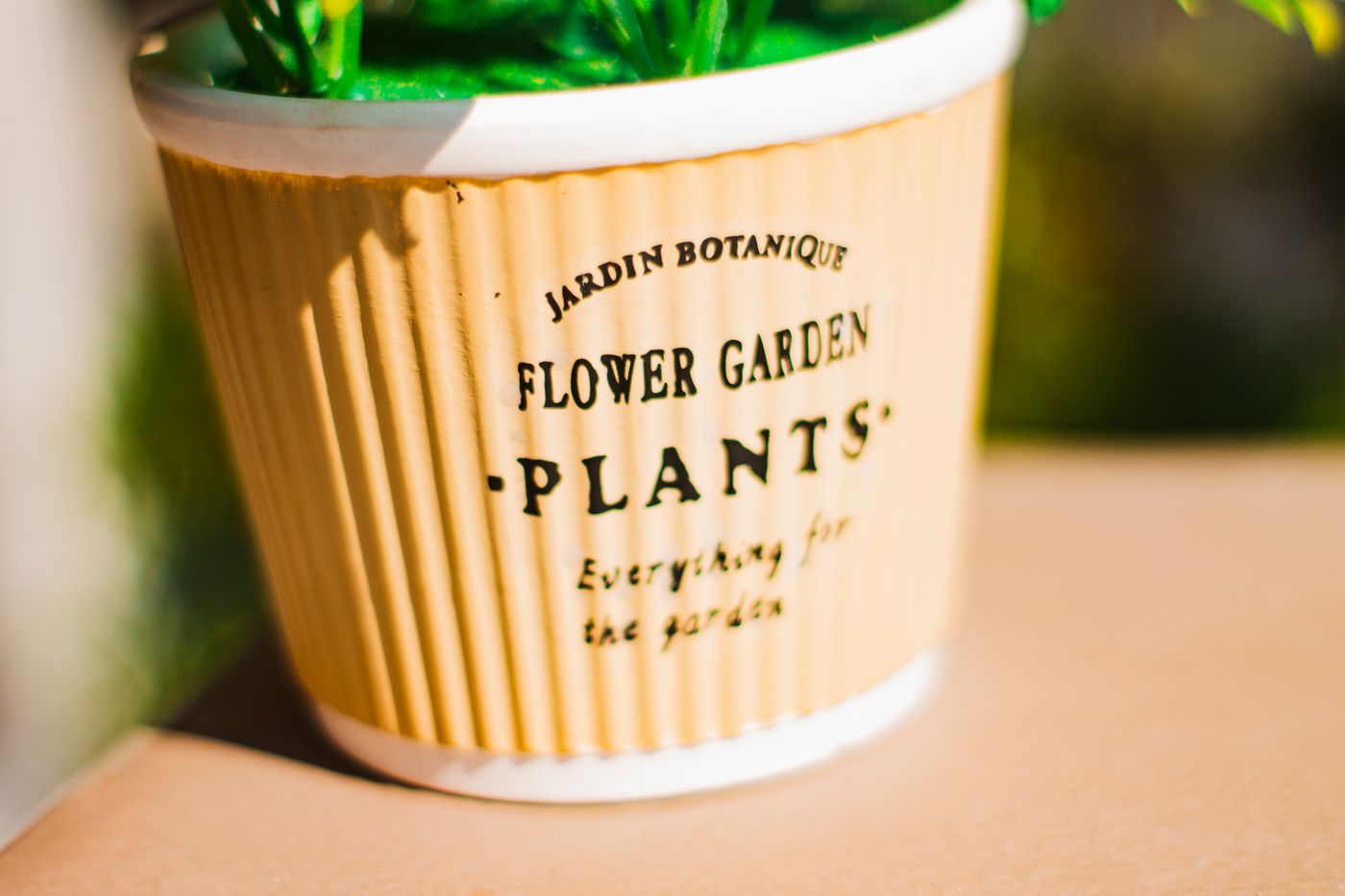 Close view of a flower pot