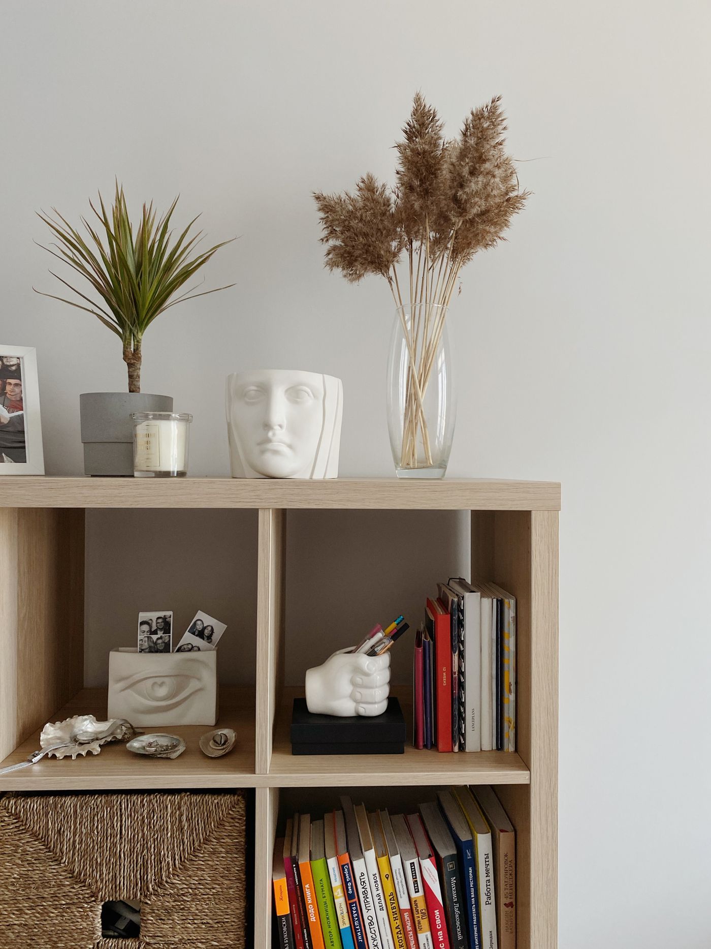 Shelf with books, plants and small souvenirs