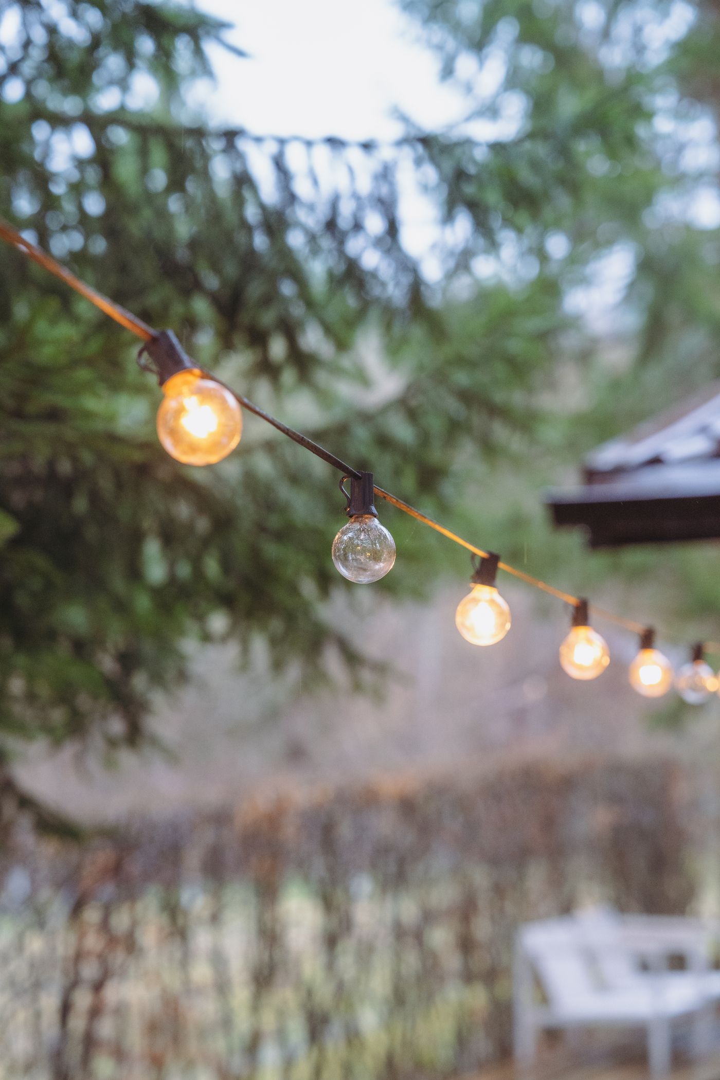 String lights hanging in a garden