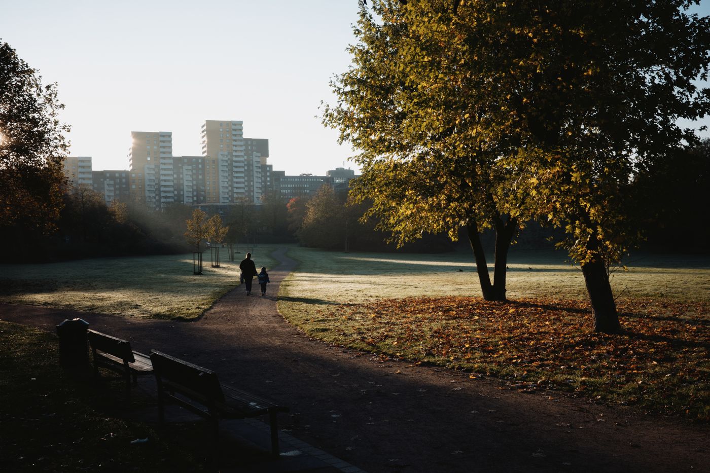 Morning walk in an urban park