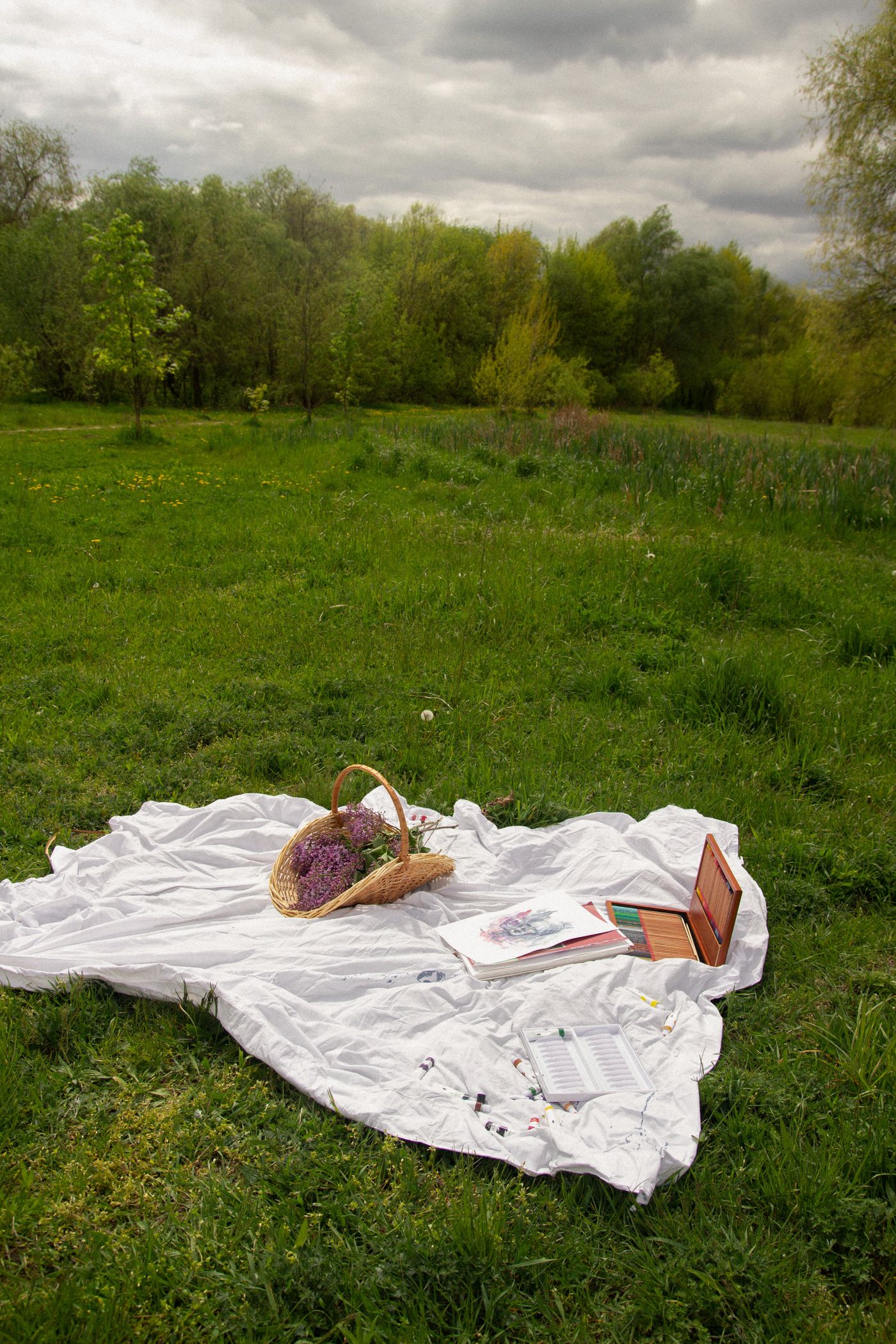 Basket of flowers on a blanket in the grass